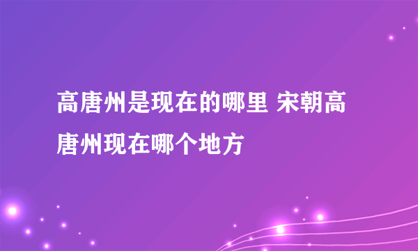 高唐州是现在的哪里 宋朝高唐州现在哪个地方