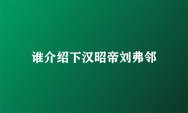 谁介绍下汉昭帝刘弗邻