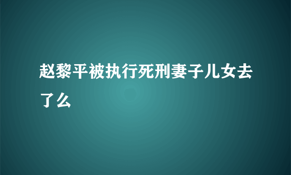 赵黎平被执行死刑妻子儿女去了么