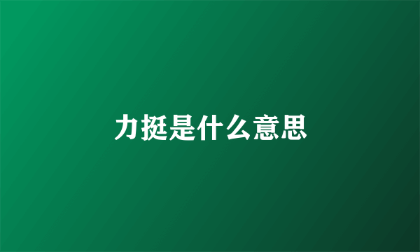 力挺是什么意思