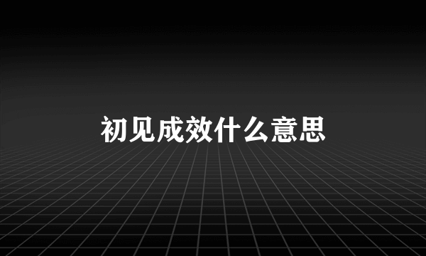 初见成效什么意思