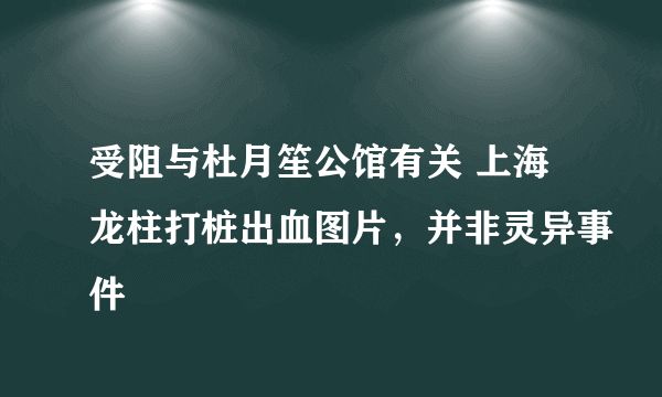 受阻与杜月笙公馆有关 上海龙柱打桩出血图片，并非灵异事件