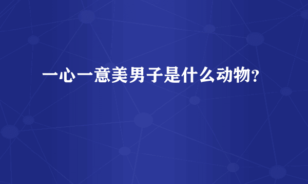 一心一意美男子是什么动物？