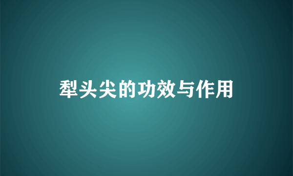 犁头尖的功效与作用