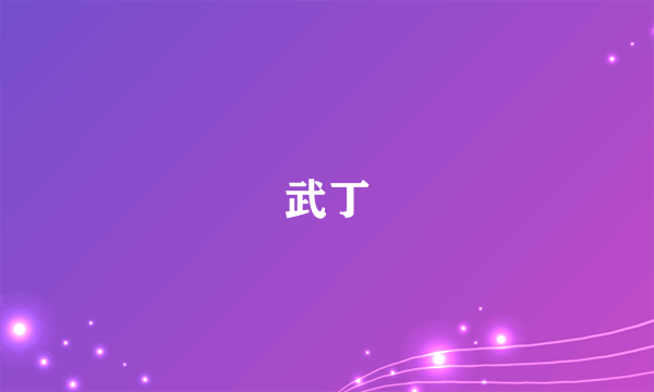 武丁