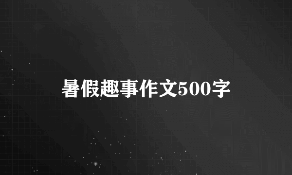 暑假趣事作文500字