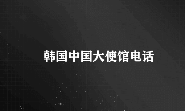 駐韩国中国大使馆电话