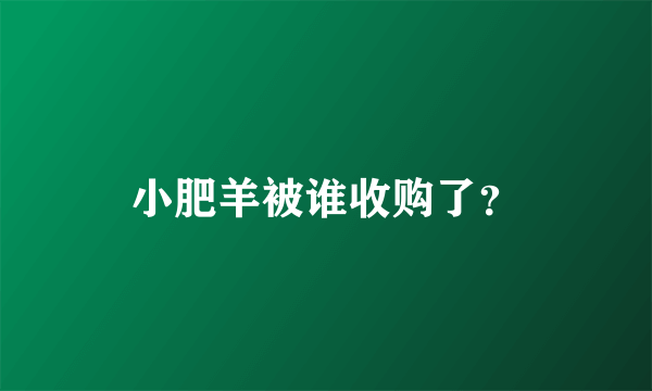 小肥羊被谁收购了？