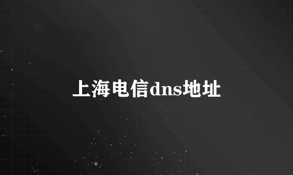 上海电信dns地址