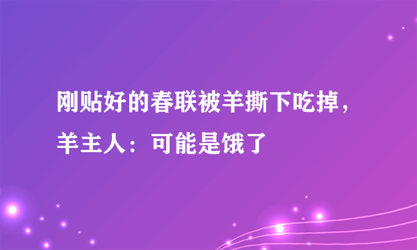 刚贴好的春联被羊撕下吃掉，羊主人：可能是饿了