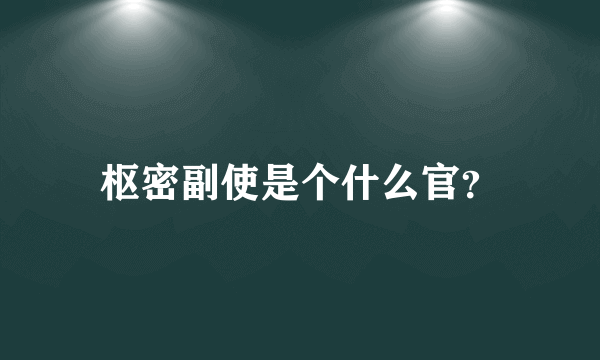 枢密副使是个什么官？