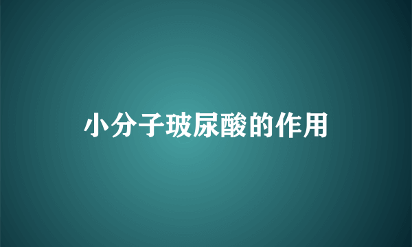 小分子玻尿酸的作用