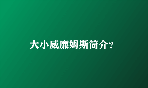 大小威廉姆斯简介？