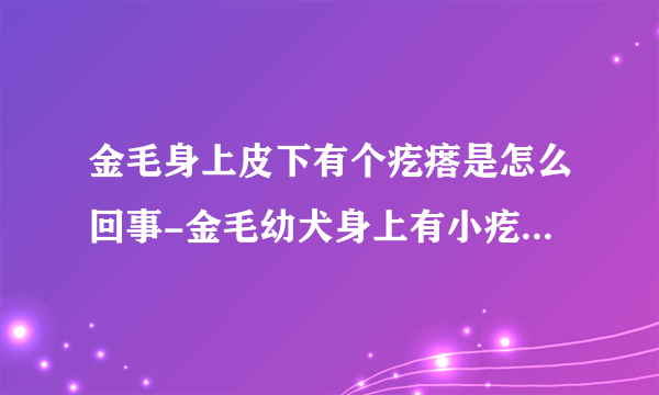 金毛身上皮下有个疙瘩是怎么回事-金毛幼犬身上有小疙瘩是怎么回事怎么治疗？