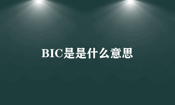 BIC是是什么意思