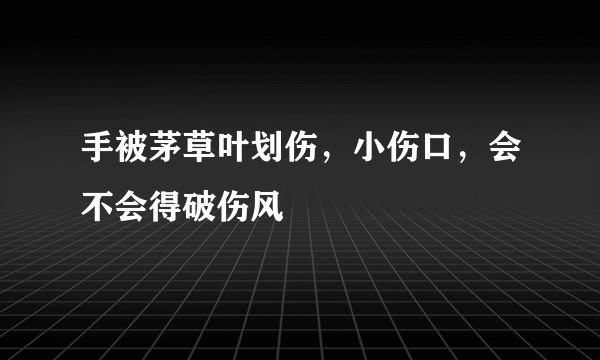 手被茅草叶划伤，小伤口，会不会得破伤风