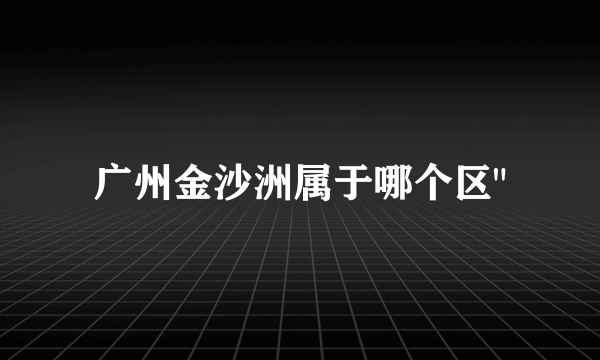 广州金沙洲属于哪个区