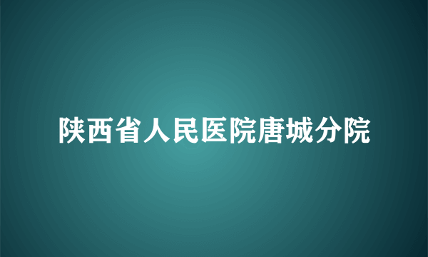 陕西省人民医院唐城分院