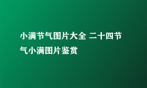 小满节气图片大全 二十四节气小满图片鉴赏