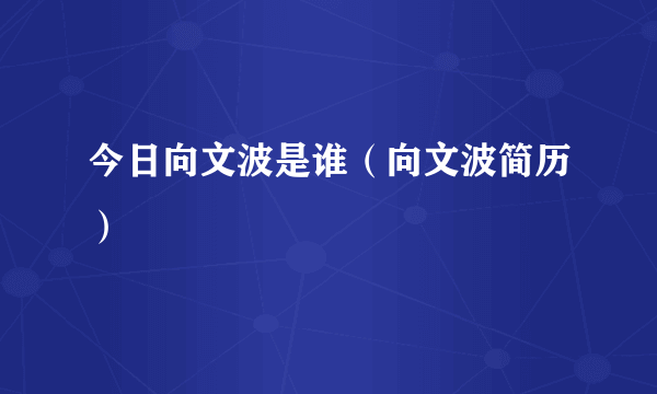 今日向文波是谁（向文波简历）