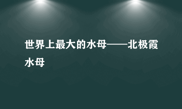 世界上最大的水母——北极霞水母