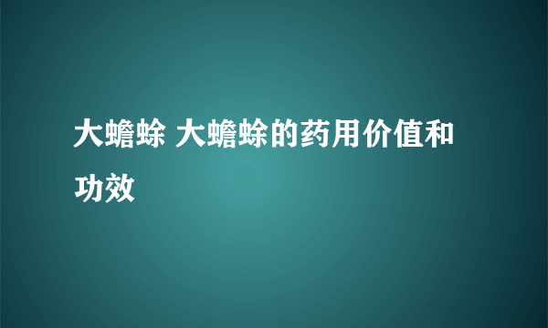 大蟾蜍 大蟾蜍的药用价值和功效