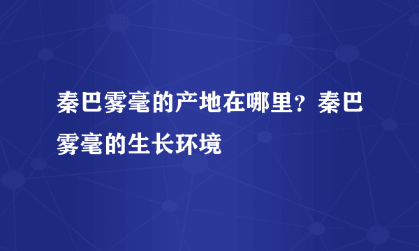 秦巴雾毫的产地在哪里？秦巴雾毫的生长环境