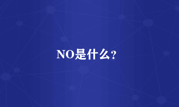 NO是什么？