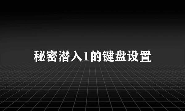 秘密潜入1的键盘设置