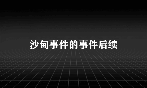 沙甸事件的事件后续