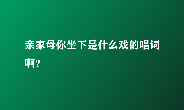 亲家母你坐下是什么戏的唱词啊？