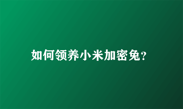 如何领养小米加密兔？