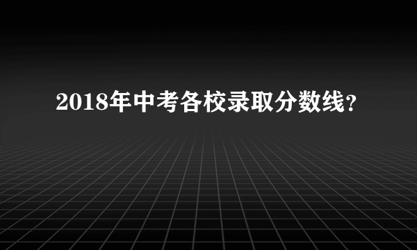 2018年中考各校录取分数线？