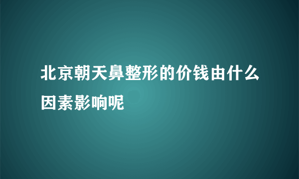 北京朝天鼻整形的价钱由什么因素影响呢 