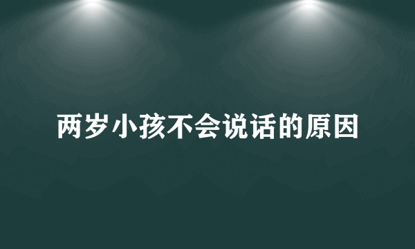 两岁小孩不会说话的原因