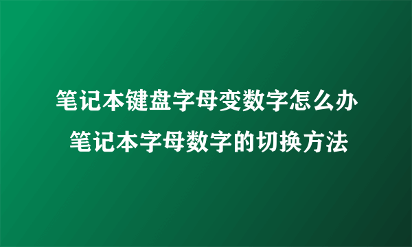 笔记本键盘字母变数字怎么办  笔记本字母数字的切换方法