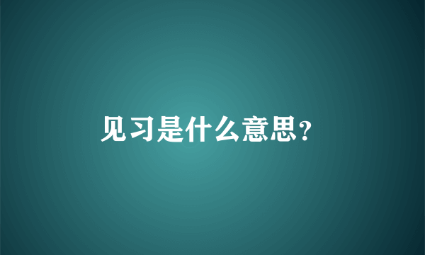 见习是什么意思？