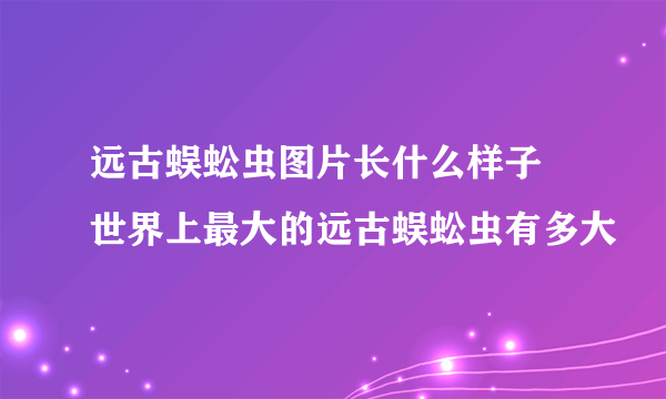 远古蜈蚣虫图片长什么样子 世界上最大的远古蜈蚣虫有多大