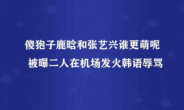 傻狍子鹿晗和张艺兴谁更萌呢 被曝二人在机场发火韩语辱骂