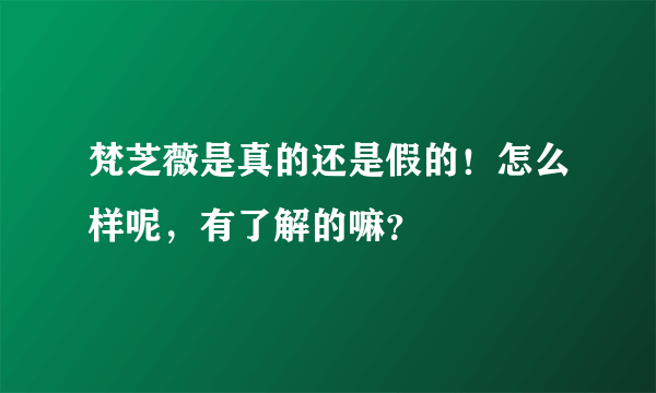 梵芝薇是真的还是假的！怎么样呢，有了解的嘛？