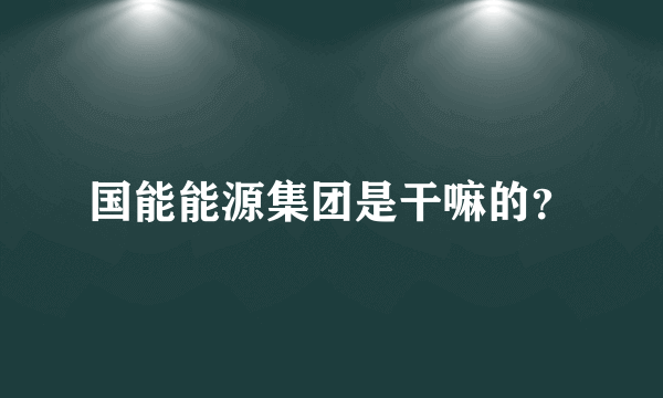 国能能源集团是干嘛的？