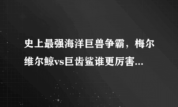 史上最强海洋巨兽争霸，梅尔维尔鲸vs巨齿鲨谁更厉害(全面分析)