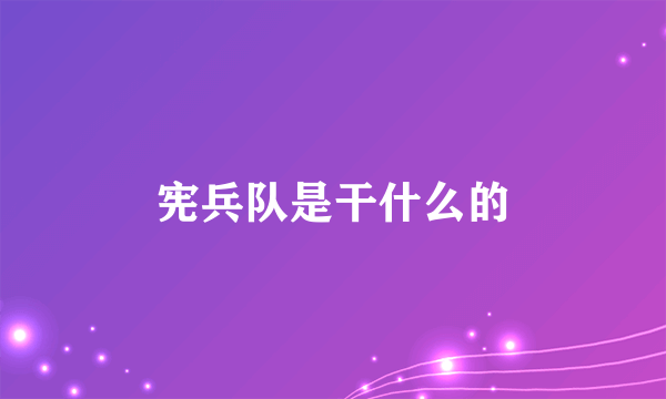 宪兵队是干什么的