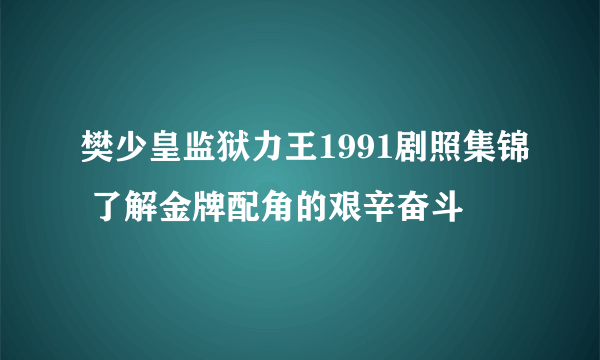 樊少皇监狱力王1991剧照集锦 了解金牌配角的艰辛奋斗