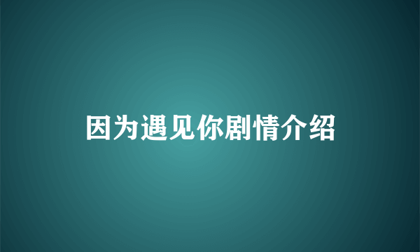 因为遇见你剧情介绍