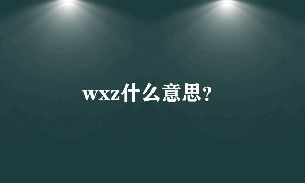 wxz什么意思？