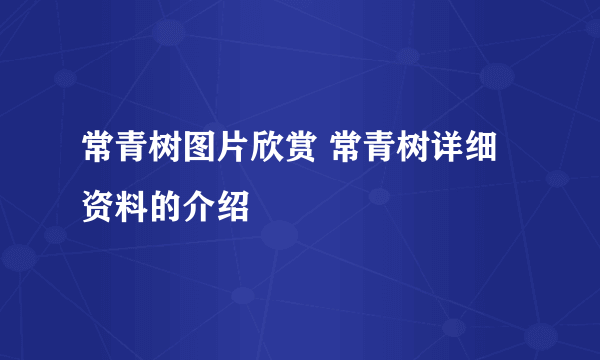 常青树图片欣赏 常青树详细资料的介绍