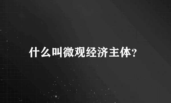 什么叫微观经济主体？