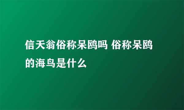 信天翁俗称呆鸥吗 俗称呆鸥的海鸟是什么