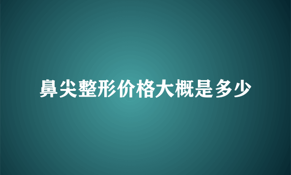 鼻尖整形价格大概是多少